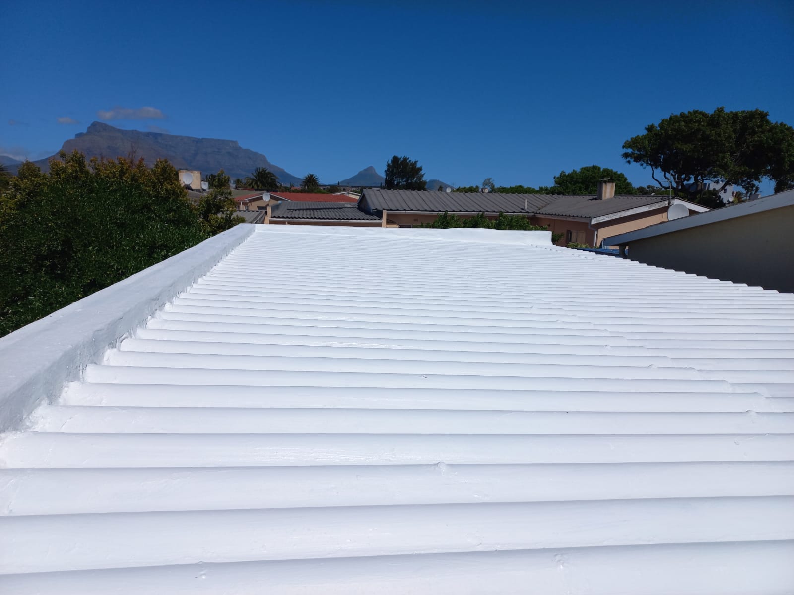 Sheet roof finished in a brilliant white heat-reflective coating, Table Mountain behind it