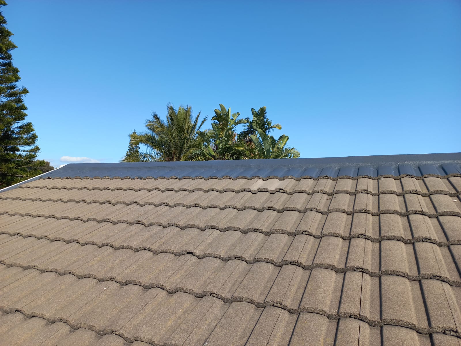 Ridge line of a tiled roof sealed and coated above weathered tiles