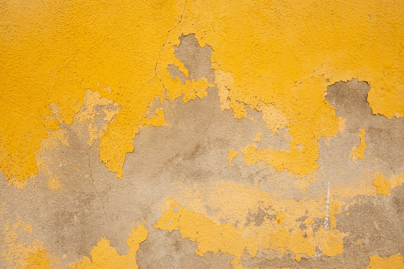 Paint lifting away from a damp exterior wall in sheets, with the plaster breaking up underneath