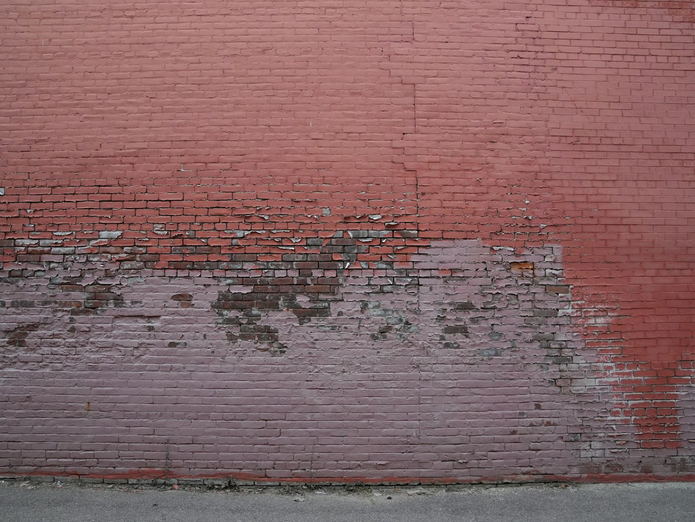 Old brick wall with its paint lifting away in broad sheets above the ground line